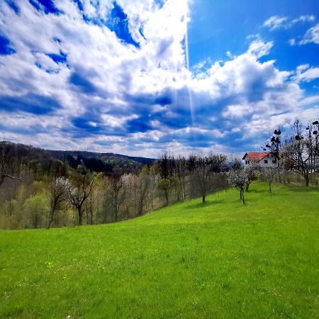 Agropensiunea Floare De Tei Carpinis  Esterno foto